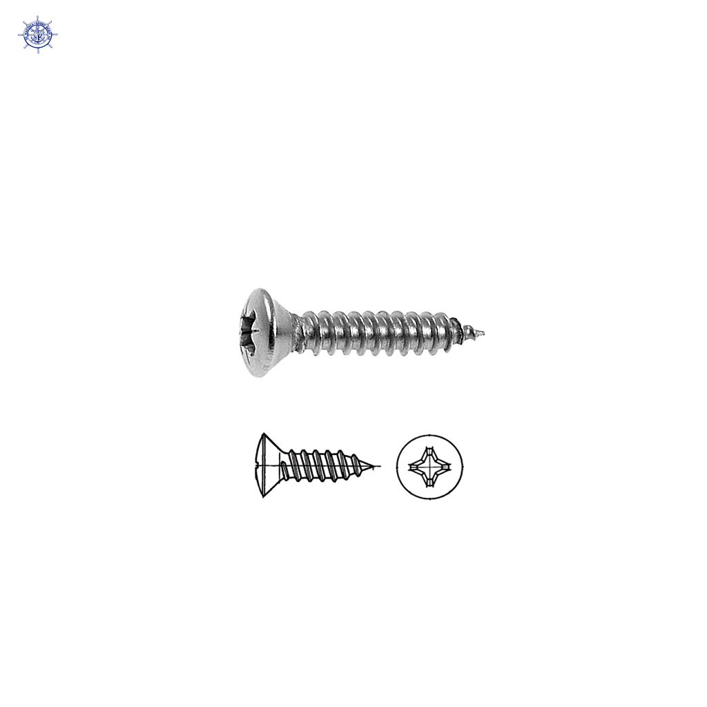 Vis à tôle à tête fraisée bombée 5.5x25 DIN7983, empreinte cruciforme (8pcs)